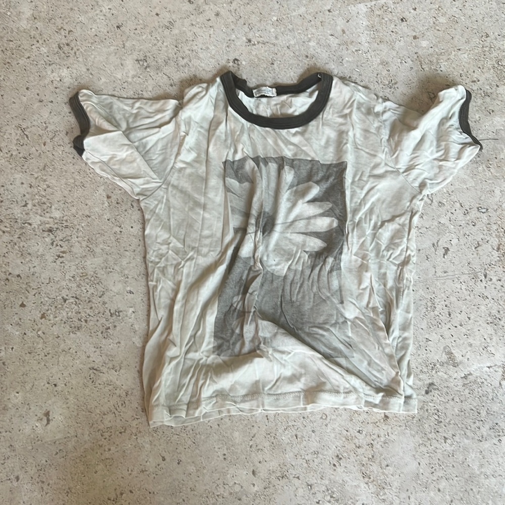 Brandy Melville cropped t-shirt